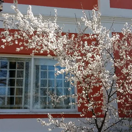 La Casa Grande De Gormaz *