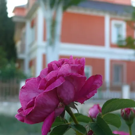 La Casa Grande De Gormaz
