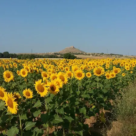 Semesterbostad La Casa Grande De Gormaz *