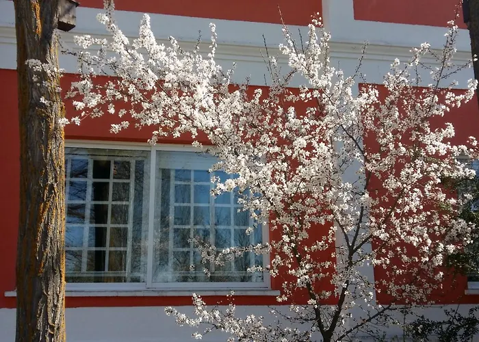 La Casa Grande De Gormaz *