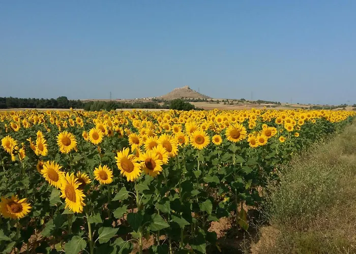 בית נופש La Casa Grande De Gormaz *